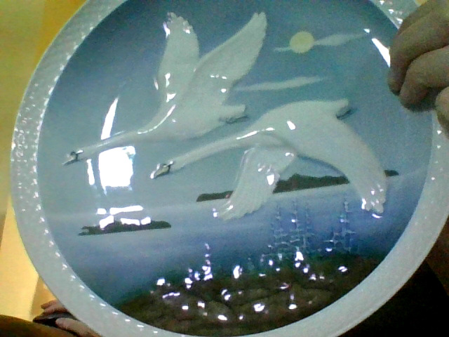 Decorative porcelain wall plate with bird motif