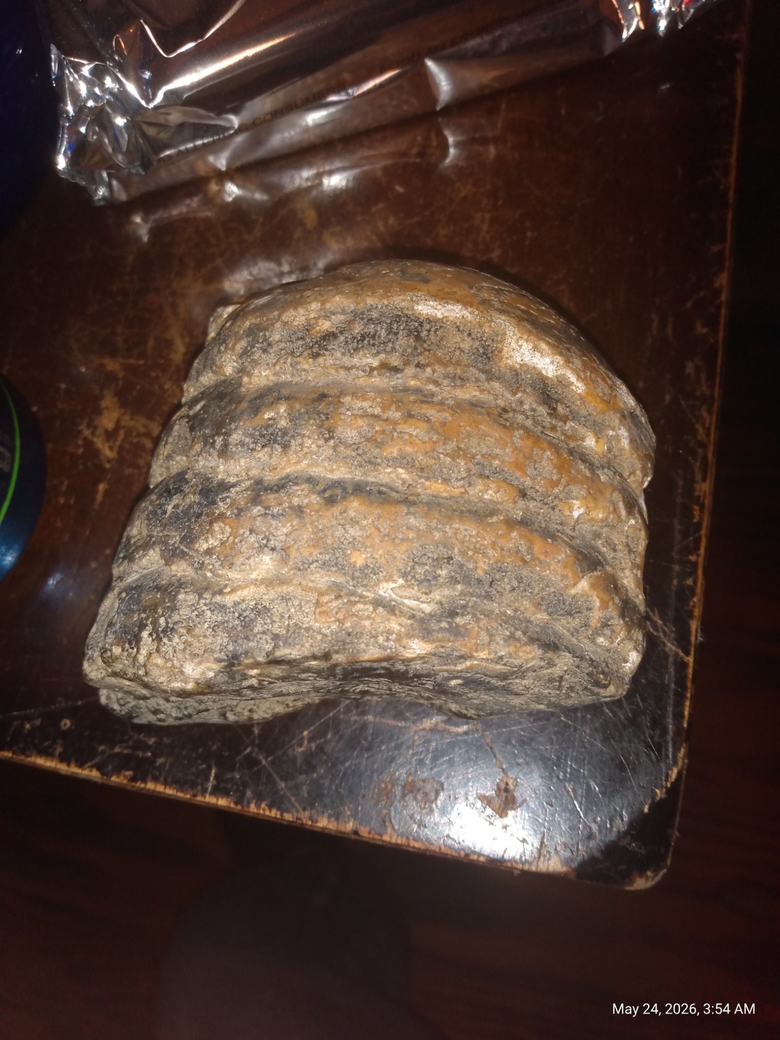 Unknown mineral/rock specimen (possibly a fossilized or banded stone nodule)
