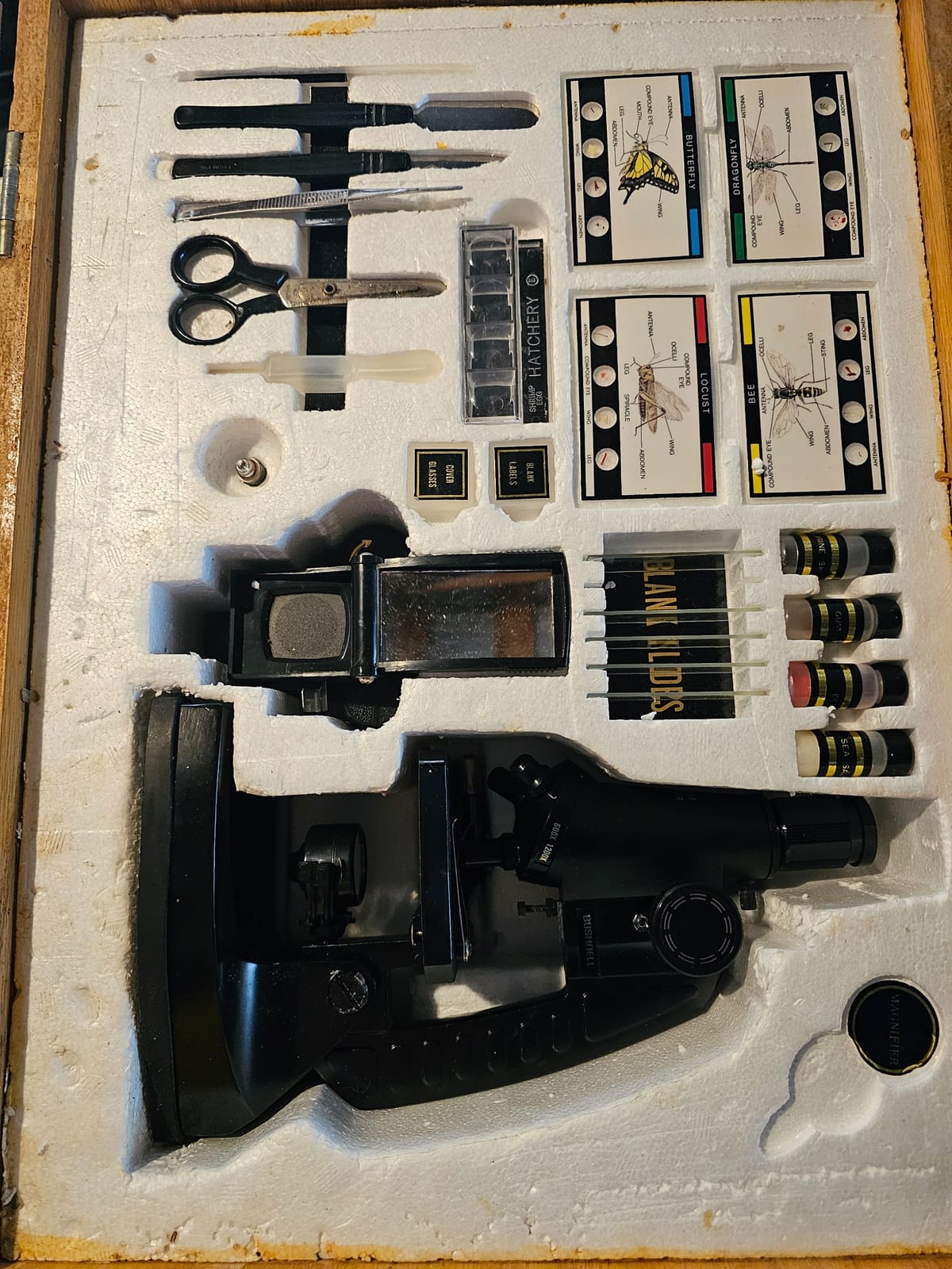 Bushnell educational microscope kit / biology slide set