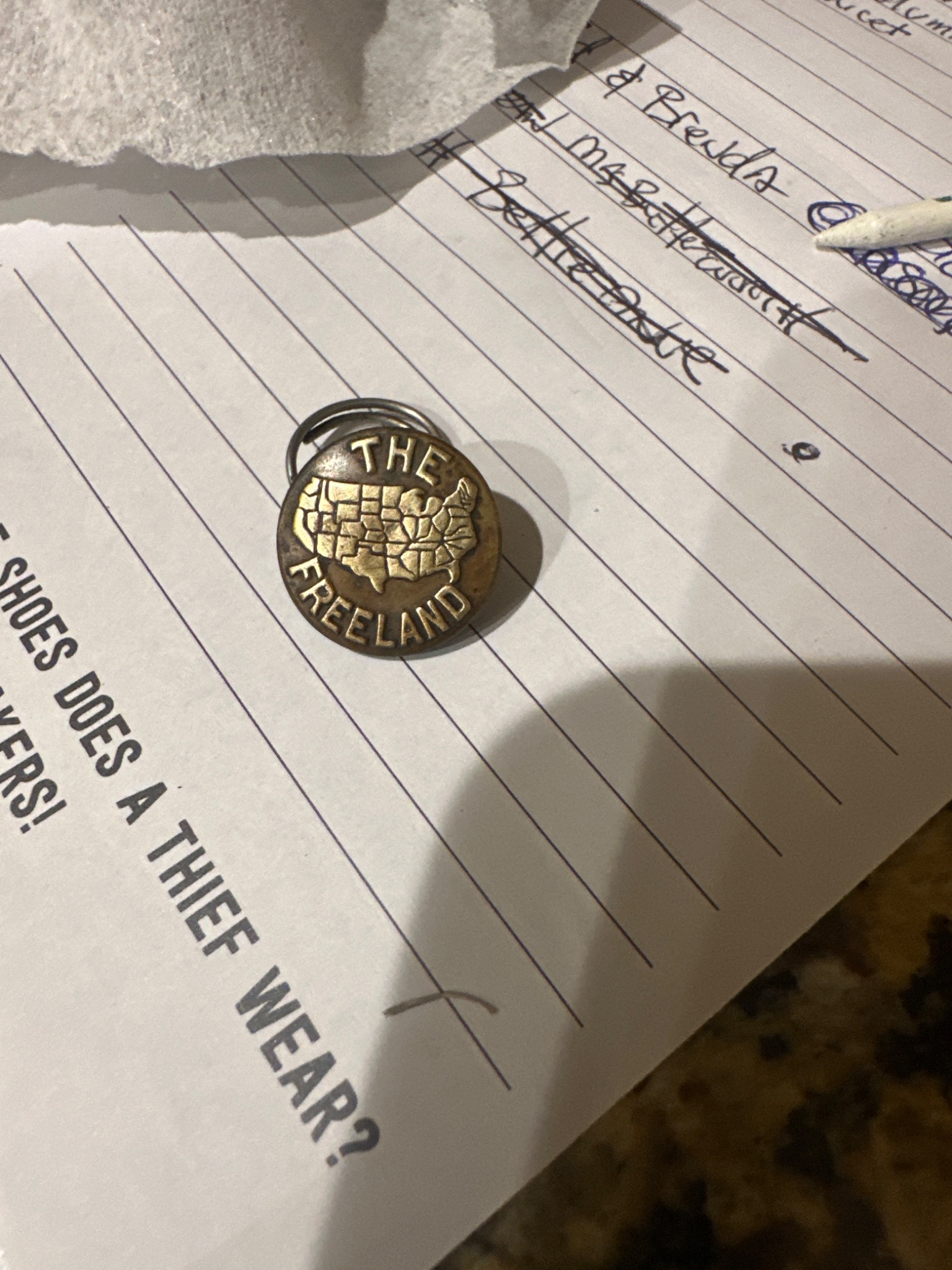 The Freeland brass or bronze souvenir pin/badge