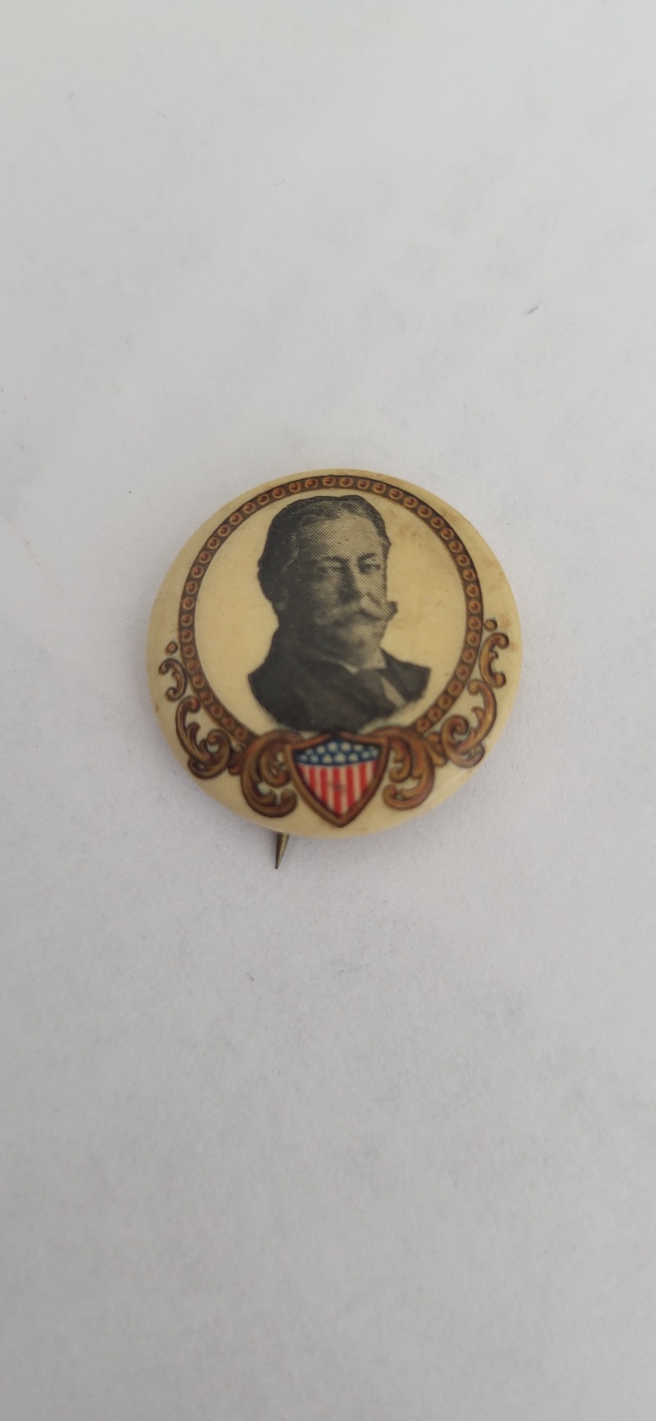 Political campaign pinback button featuring a portrait of Theodore Roosevelt