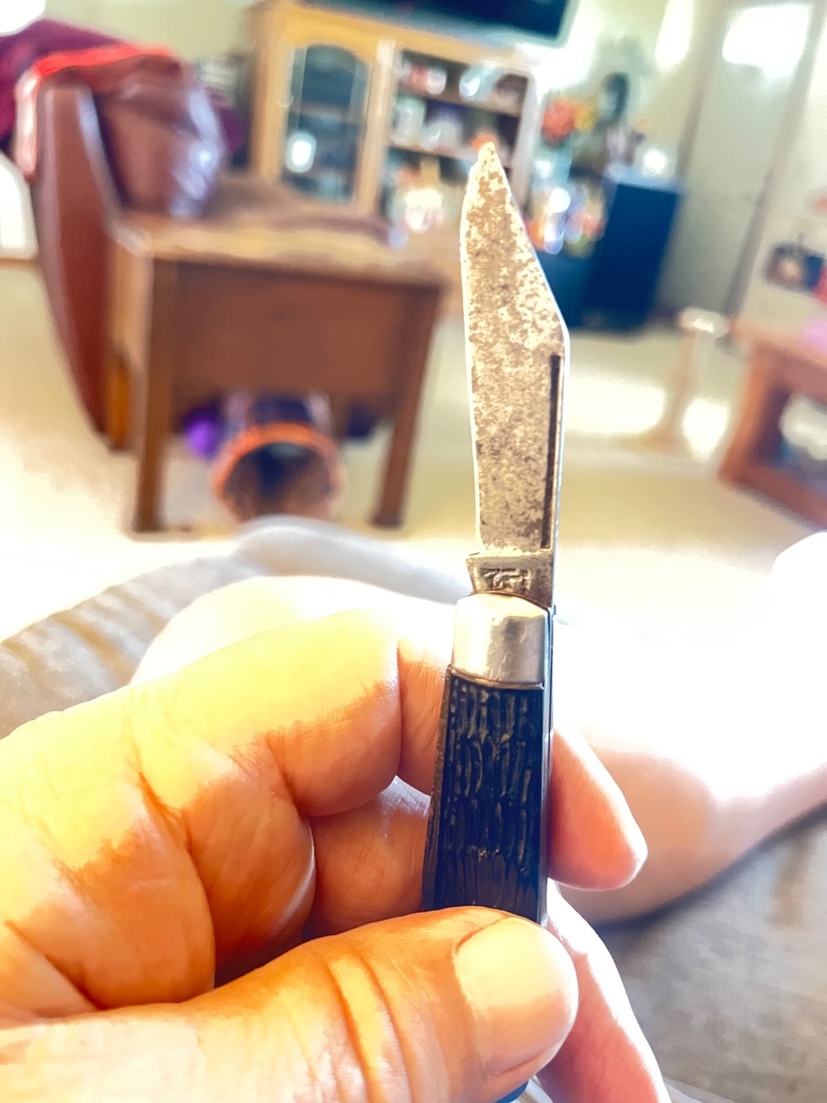 Small folding pocket knife / penknife
