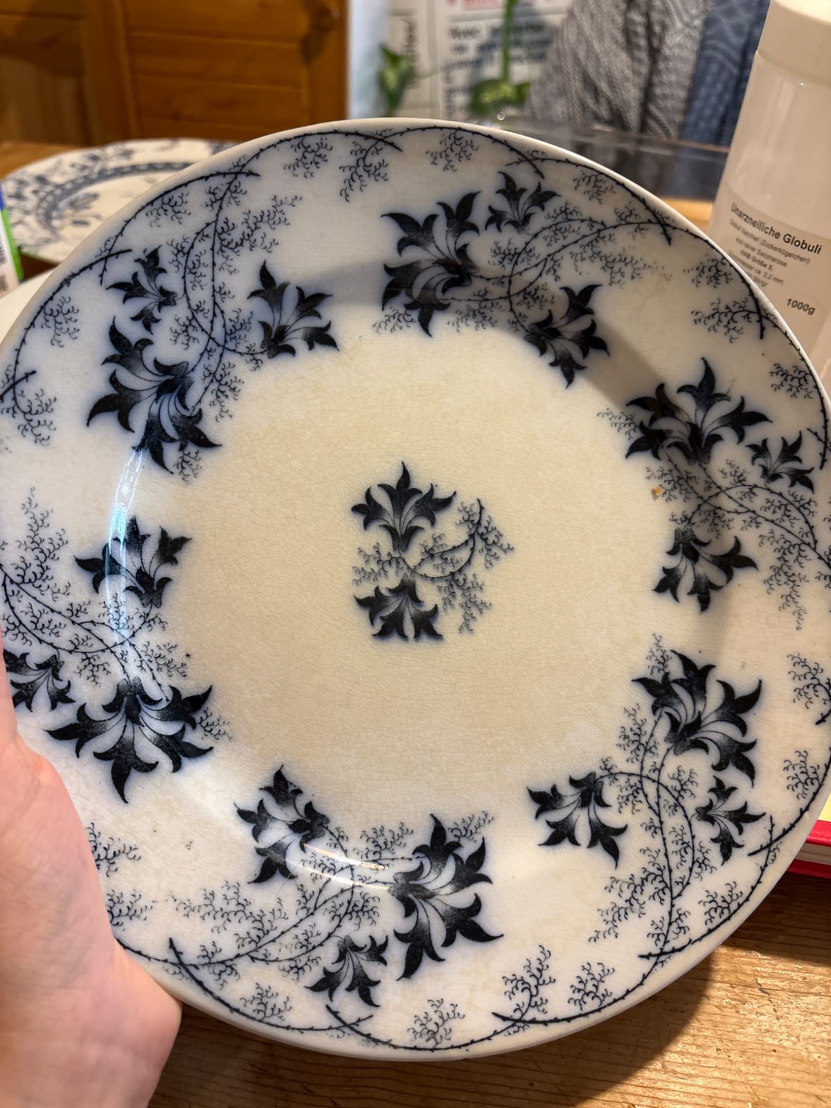 Blue and white transferware-style ceramic plate