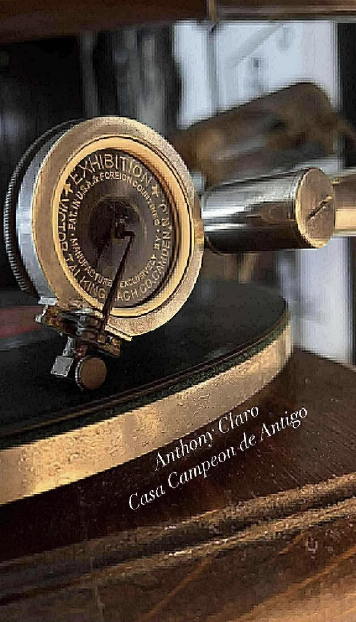 Antique ship's binnacle compass / marine compass