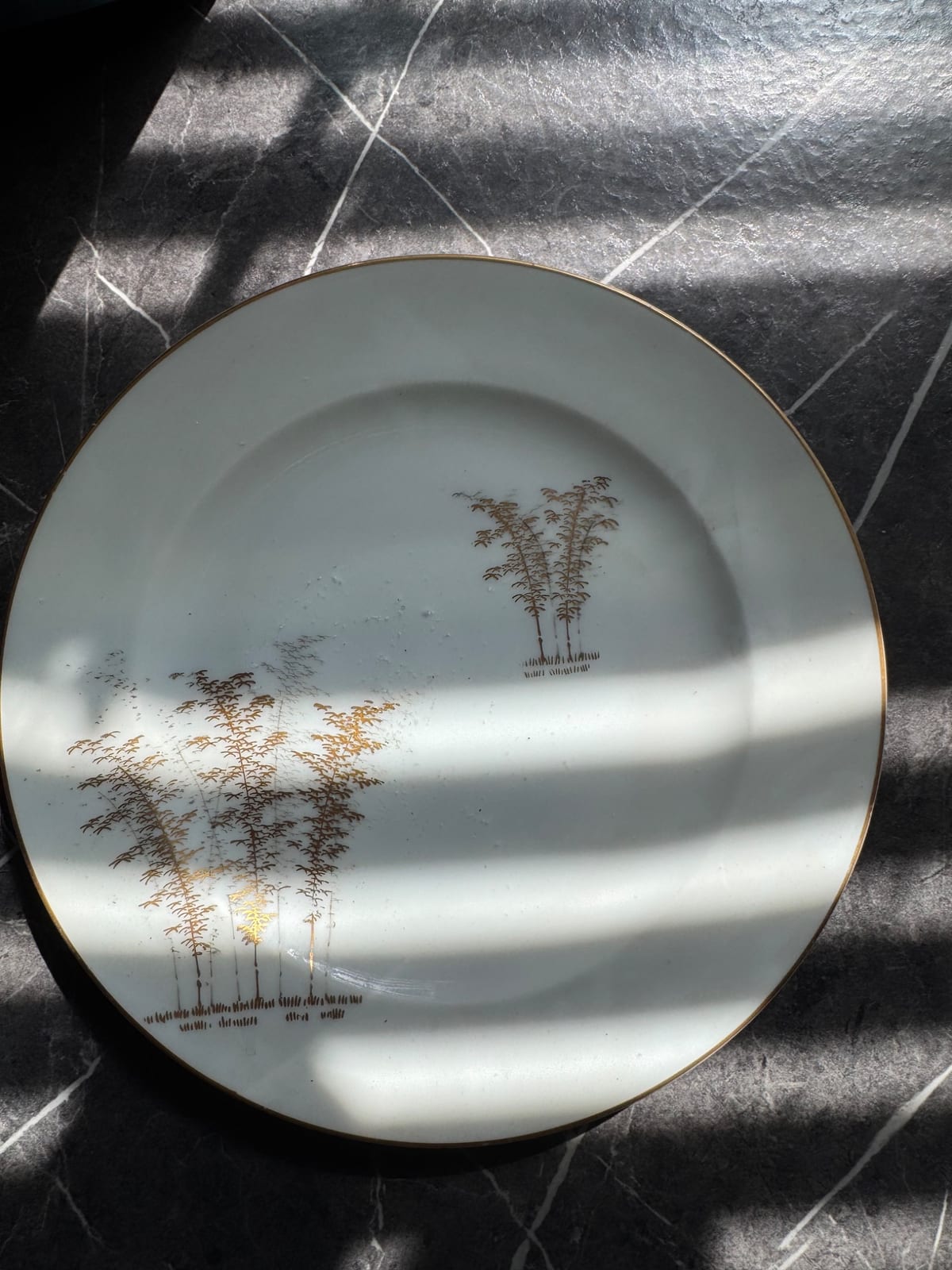 Decorative porcelain dinner plate with gilt rim and minimalist tree motif