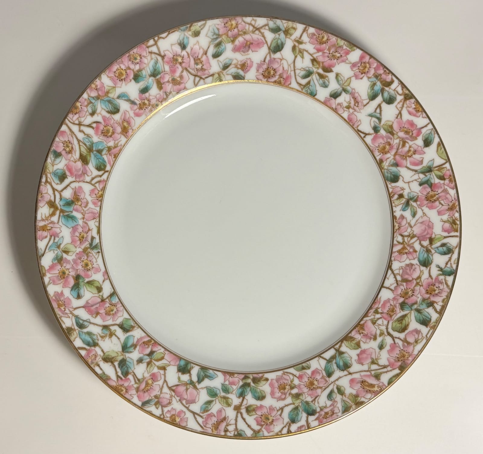 Decorative porcelain dinner plate with floral border