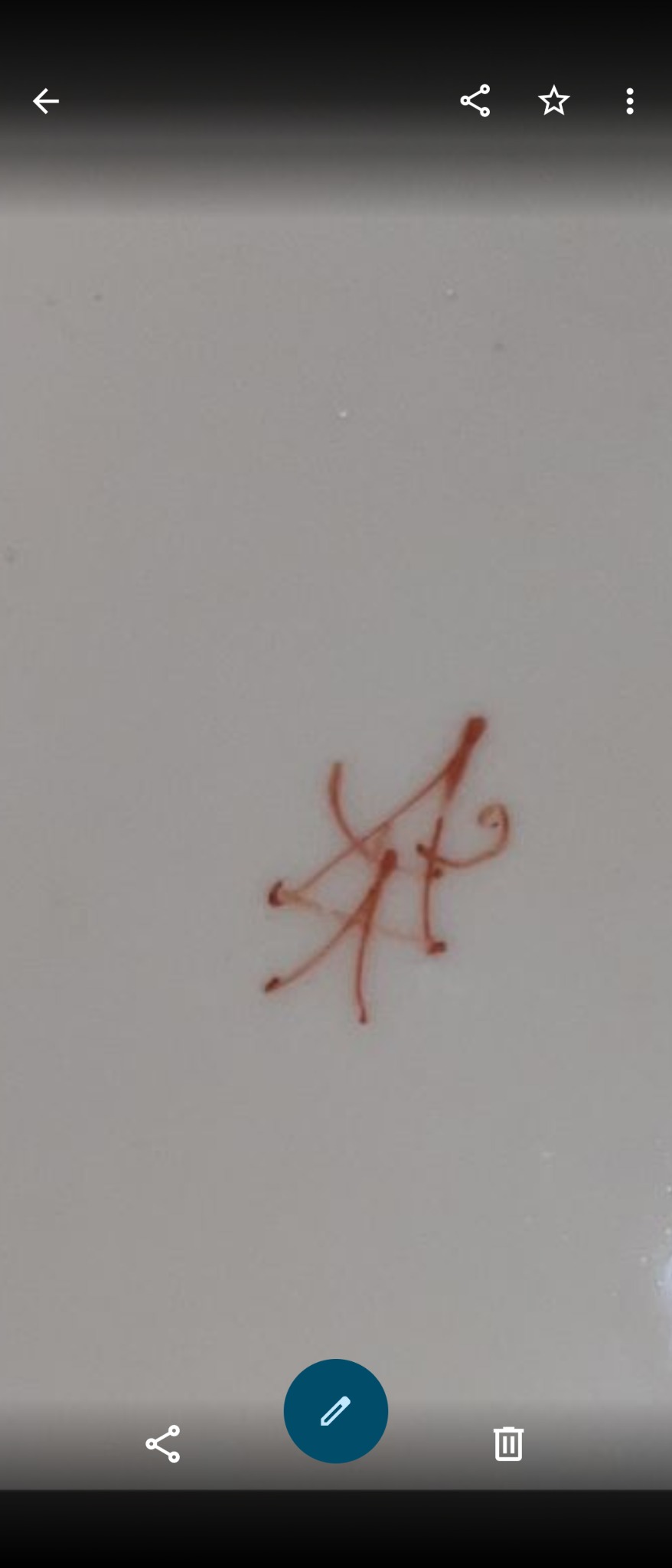 Porcelain or ceramic piece with red painted monogram/signature mark