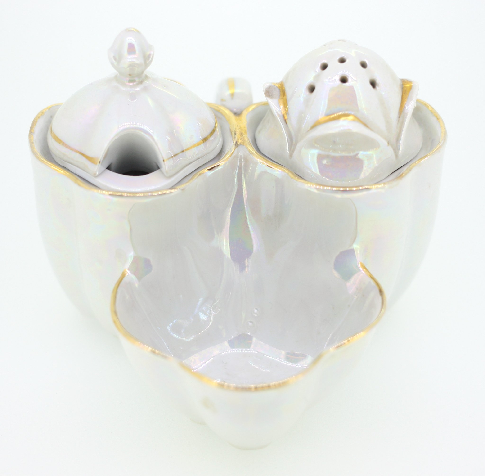 Porcelain double condiment set with lids