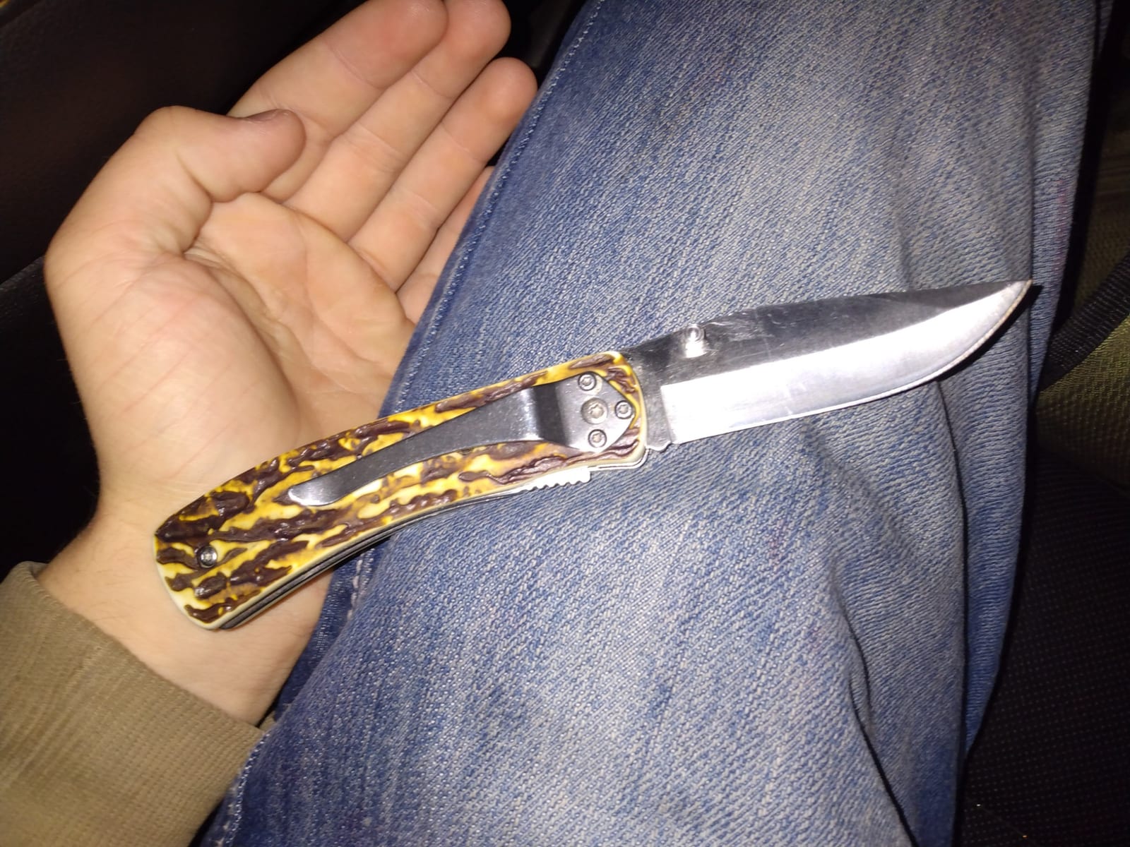 Folding pocket knife